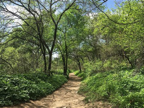 10 Best Hikes In Austin Texas Premier Outdoor City