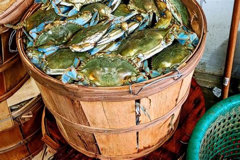 10 Best Seafood Markets In Maryland