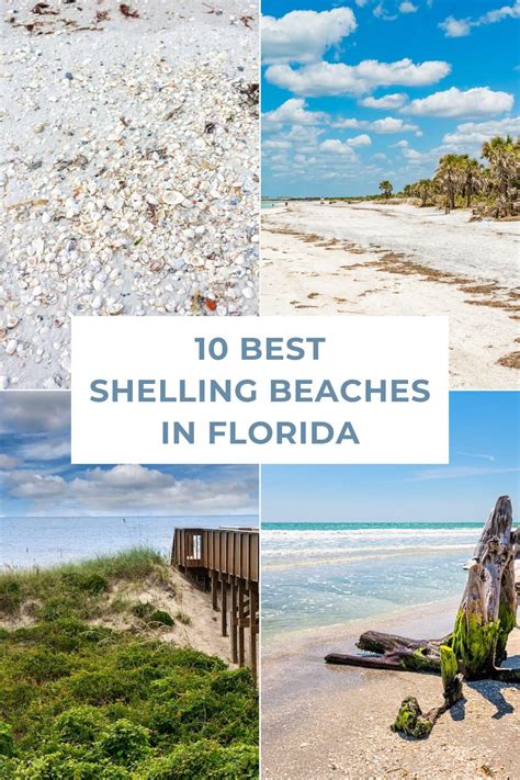 10 Best Shelling Beaches In Florida The Ultimate Guide 2024