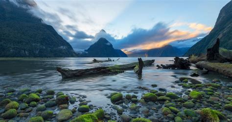 10 Best Ways To Explore New Zealand S Fiordland National Park