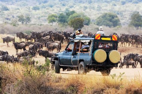 10 Days Kenya Safari Kenya Wildlife Safaris Focus East Africa Tours