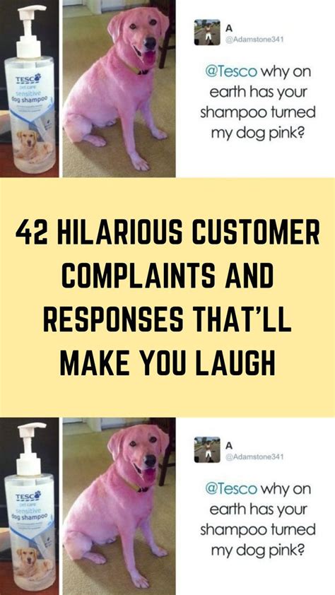 10 Hilarious Customer Complaints And Responses That Ll Make You Laugh