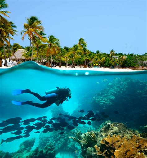 10 Of The Best Caribbean Scuba Diving Destinations Flickr Image By