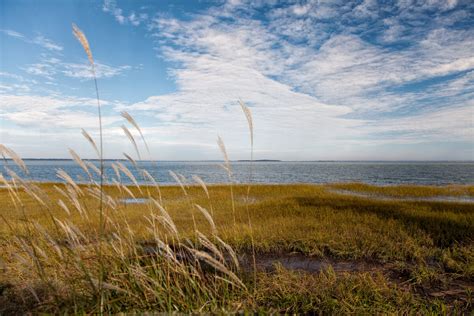 10 Texas Coastal Plains Facts Facts Net