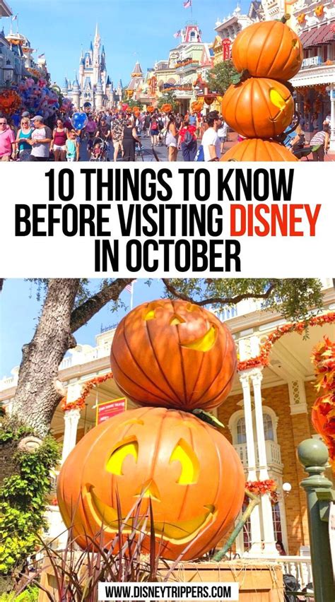 10 Things To Know Before Visiting Disney In October Disney World Trip