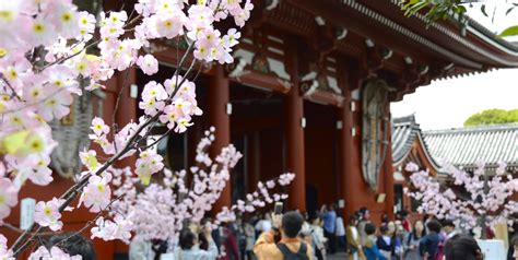 10 Tokyo Tips Zo Beleef Je De Pure Japanse Cultuur In Tokyo