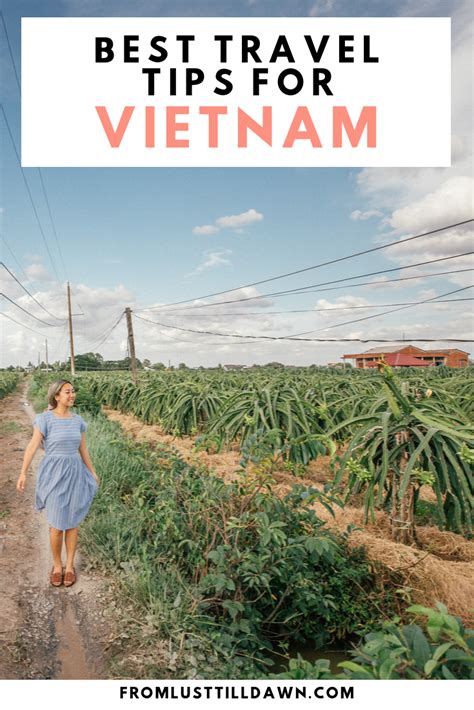 11 Must Know Vietnam Travel Tips For A Tourist In Vietnam Sarah