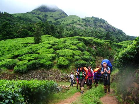 11 Things You Probably Didn T Know About Wayanad But Should India Com