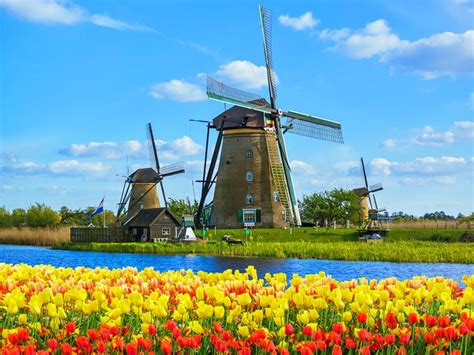 11 Top Rated Tourist Attractions In The Netherlands Nimble Foundation