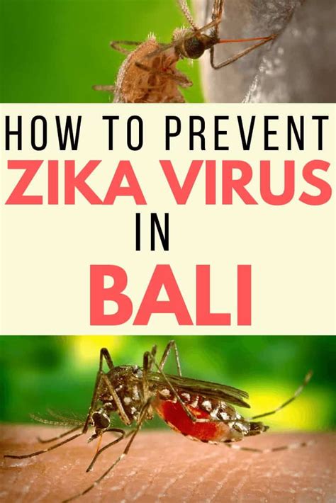 11 Ways To Avoid Catching Zika Virus In Bali