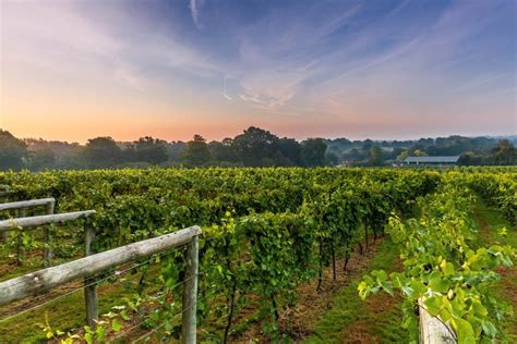 12 Best Vineyards To Visit And Tour In England And Wales In 2019