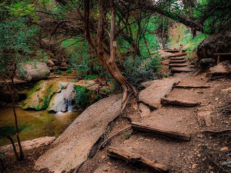 13 Best Hikes In Austin Texas Austin Texas Real Estate