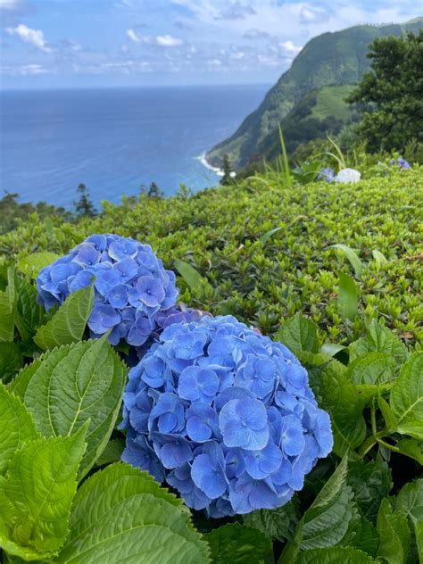 13 Stunning Beaches In Azores Natural Pools