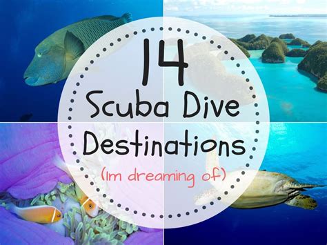 14 Best Scuba Diving Destinations In The World Traveltomtom Net