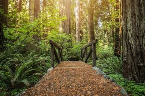 15 Best Places To Visit In Northern California In 2024