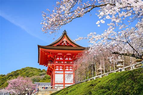 15 Best Things To Do In Kyoto Japan Discovarica