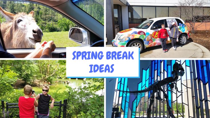 15 Family Friendly Midwest Spring Break Ideas Dang Travelers