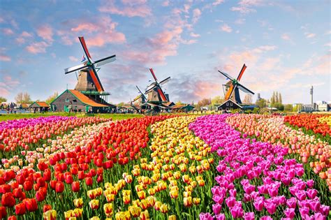 15 Things To Do In The Netherlands In March Visiting The Dutch Countryside In 2024