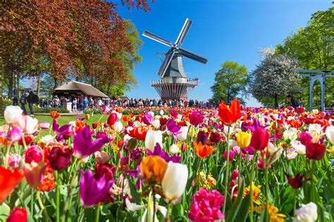 16 Top Tourist Attractions In The Netherlands Planetware