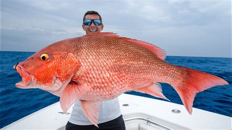 17 Best Images About Deep Sea Fishing On Pinterest Big Fish Red Snapper And Mahi Mahi