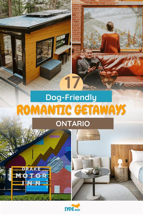 17 Dog Friendly Romantic Getaways In Ontario Syde Road