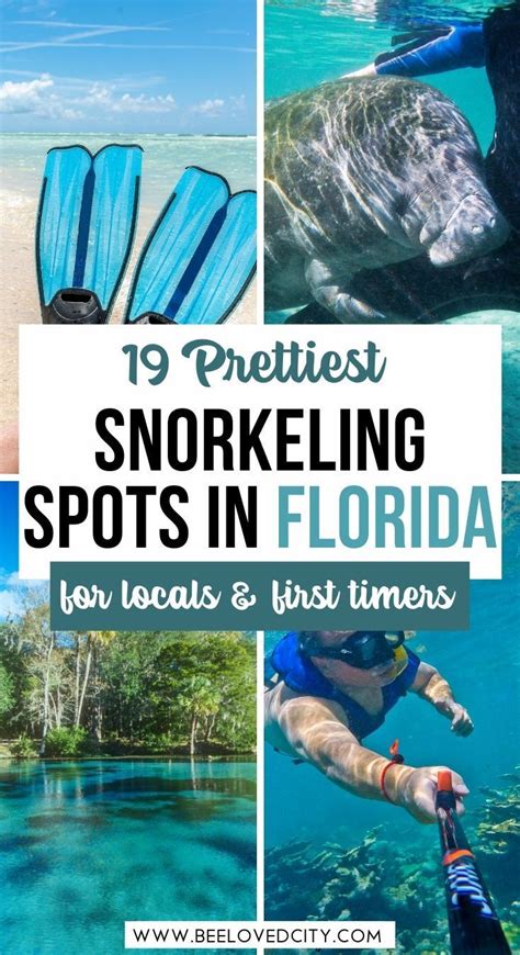 19 Best Places For Snorkeling In Florida That You Must Visit Florida