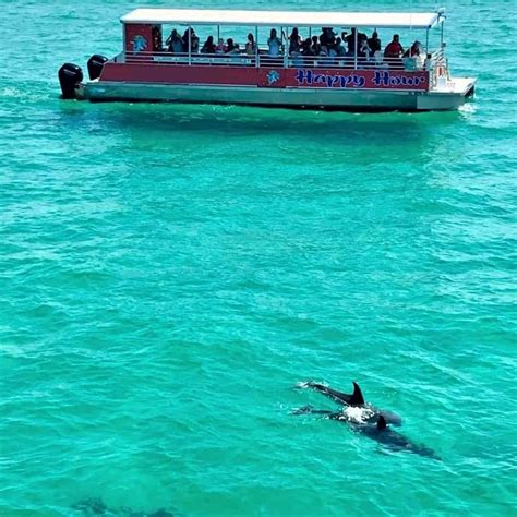 2 Hour Pensacola Beach Dolphin Cruise Tripshock