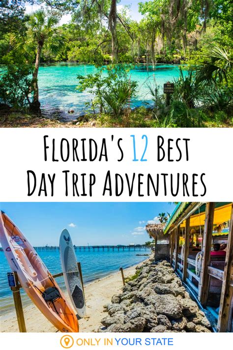 20 Best Day Trips In Florida Florida Travel Guide Florida Travel