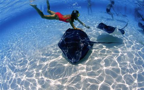 20 Exceptional Caribbean Snorkeling Trips For 2024 2025