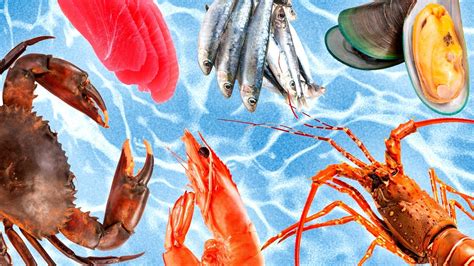 20 Popular Types Of Seafood Ranked