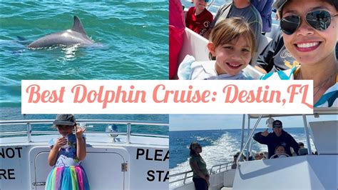 2014 Dolphin Cruise On The Sea Blaster Destin Fl Youtube