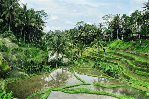 2023 Ubud Bali Indonesia Itinerary Blog Things To Do Tourist Spots