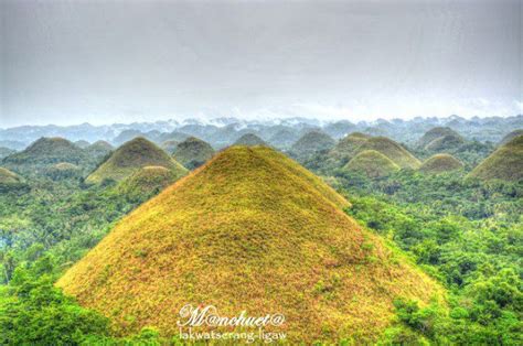 21 Amazing Attractions In Bohol Every Visitor Must See Tripzilla