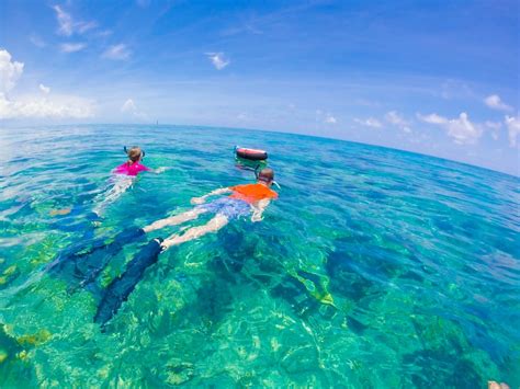 25 Best Snorkeling Spots In Florida