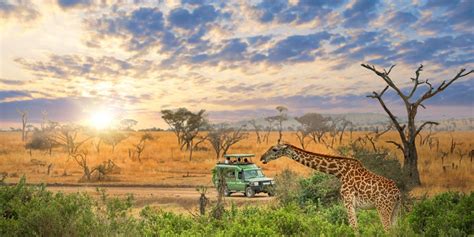 25 Of Africa S Most Amazing Places To Visit Traveler By Unique