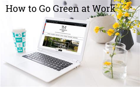 25 Simple Ways To Go Green In The Office Sustainability Tribe