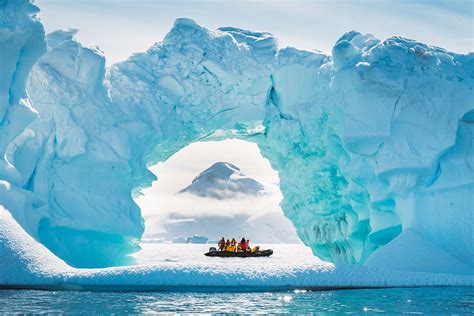 25 Wild Photos That Will Convince You To Visit Antarctica Expert Vagabond