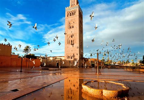 28 Best Things To Do In Morocco Places To See Rough Guides