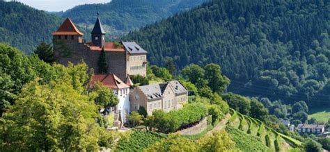 3 Best Castle Hotels In Black Forest Germany Updated 2024 Trip101