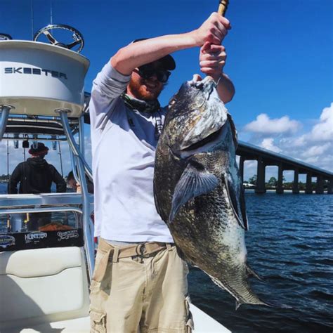 3 Reasons To Try Destin Winter Fishing Panhandle Fishing Charters