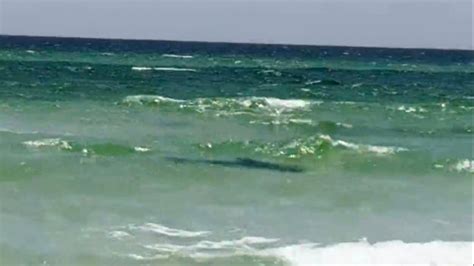 3 Swimmers Attacked By Sharks Off Florida Panhandle Abc News