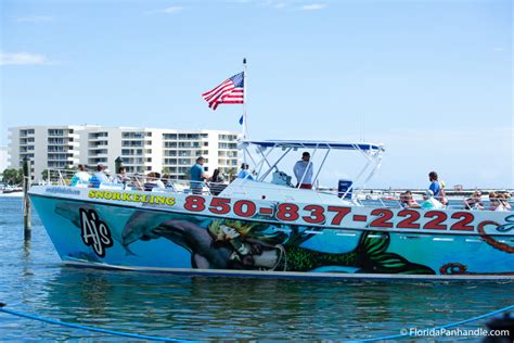 4 Best Dolphin Tours Destin Florida Keep Moving