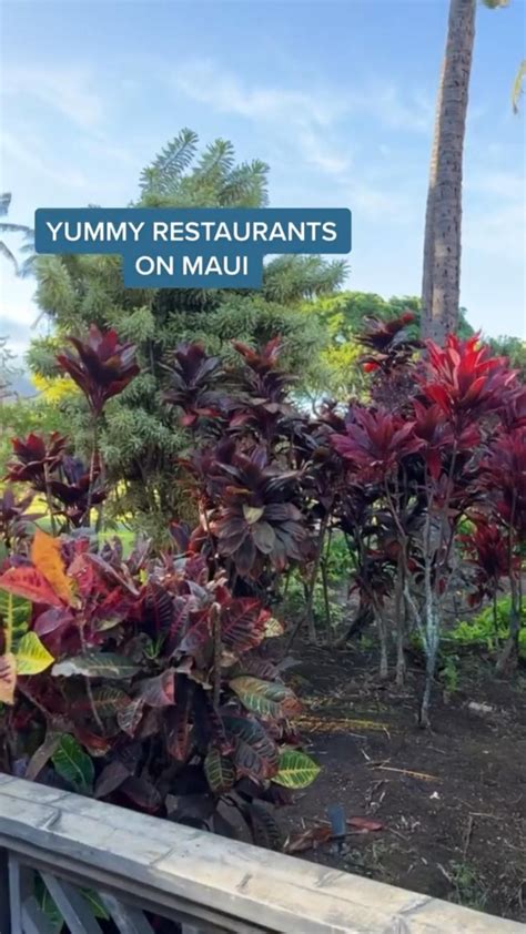 4 Must Try Restaurants On Maui Tropical Destination Maui Mppvacations