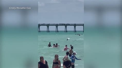 4 Shark Attacks Reported Off Ny Shores 50 Spotted At One Beach Khou Com