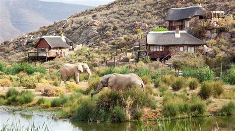 4 South African Safari Destinations You Can Get To From Cape Town Artofit