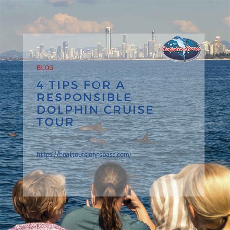 4 Tips For A Responsible Dolphin Cruise Tour