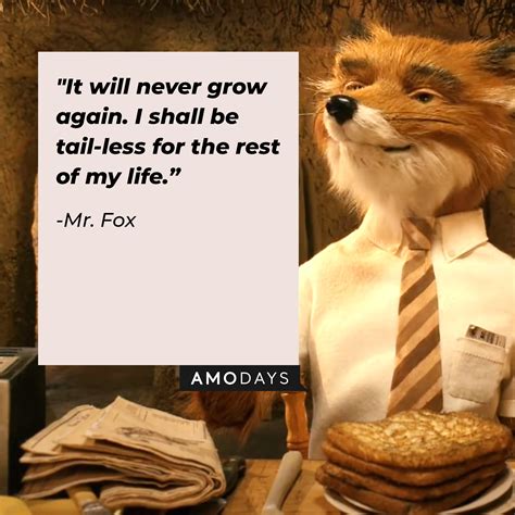 40 Amp 39 Fantastic Mr Fox Amp 39 Quotes To Tempt You Off The Straight And Narrow