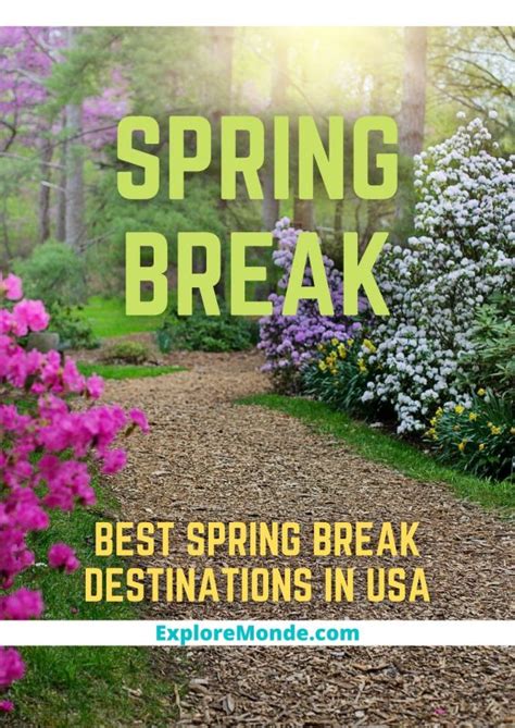 48 Best Spring Break Destinations In Usa Explore Monde