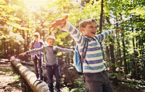 5 Active Ways To Enjoy Nature This Fall Activekids