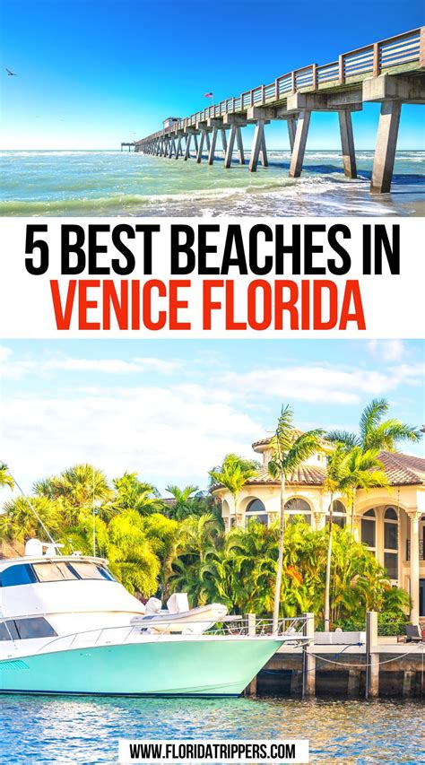 5 Best Beaches In Venice Florida Travel Bucket List Usa Usa Travel